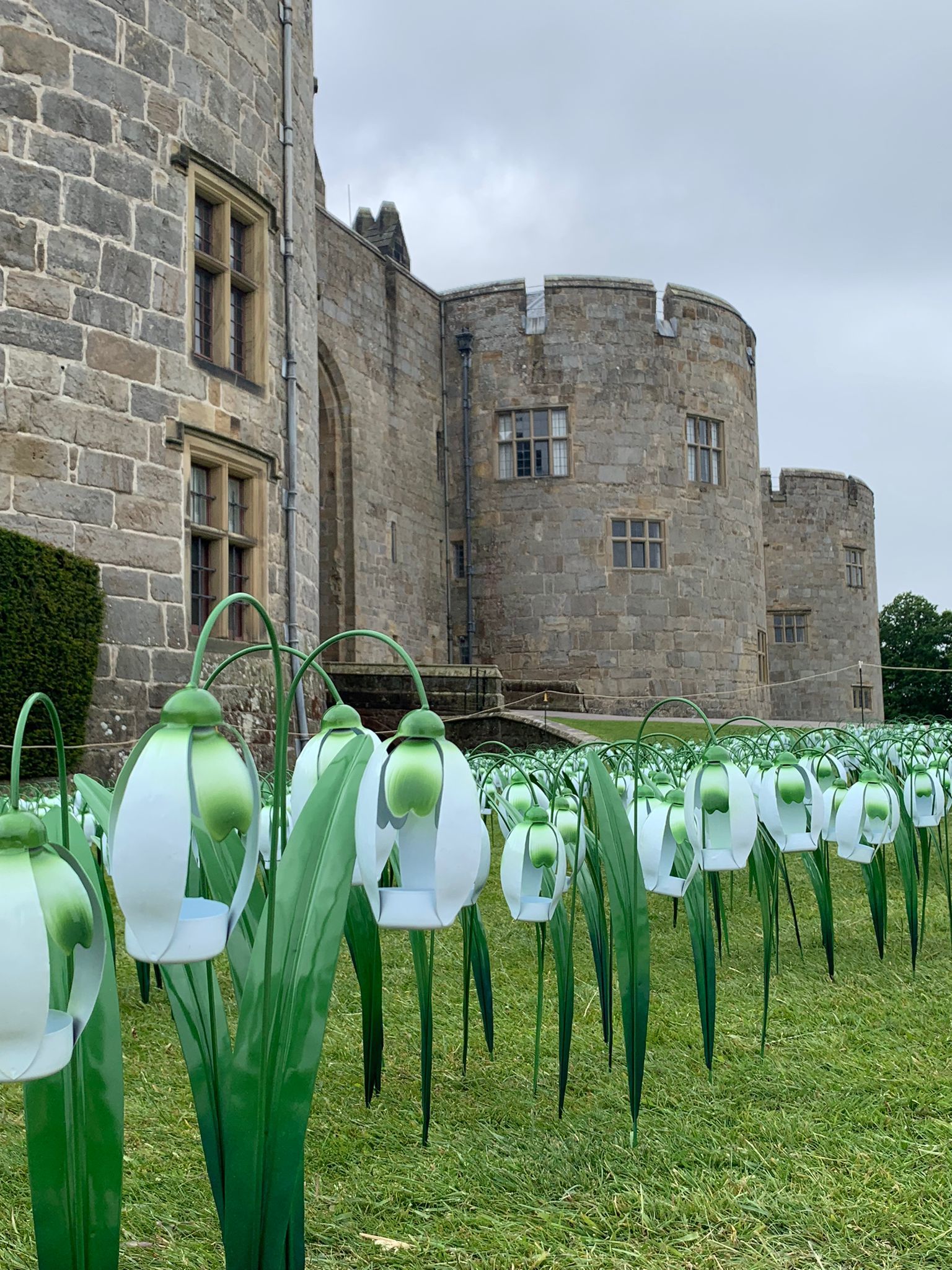 Nightingale House Hospices Sunshine Meadow snowdrops at Chirk Castle. Photo: National Trust Images
