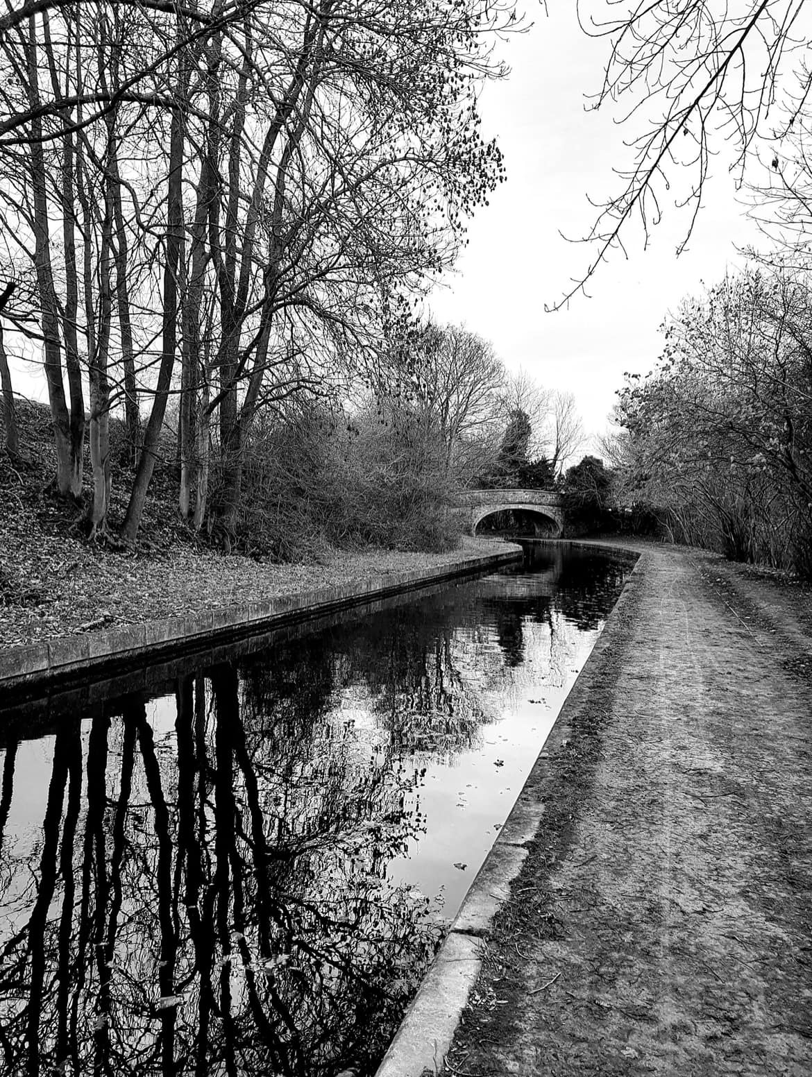 Llangollen Canal. Picture: Steph Taylor