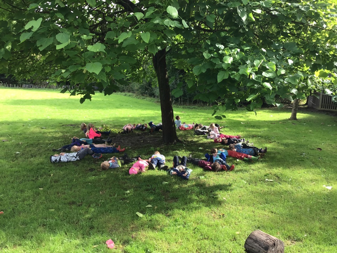 St Marys pupils bathed under the canopy of the trees to connect with nature.