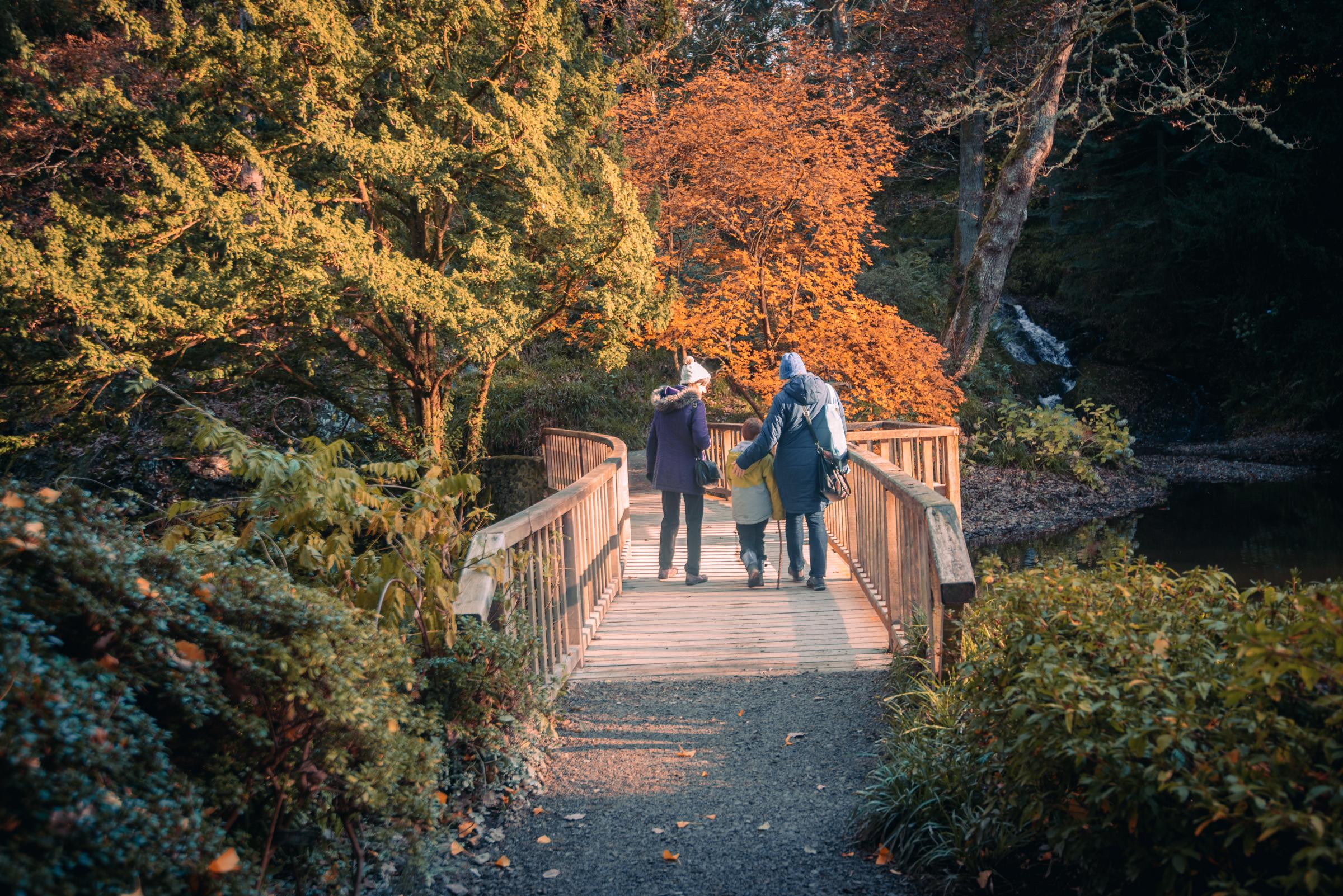Bodnant Garden winter walk ©National Trust Images Lee Evans