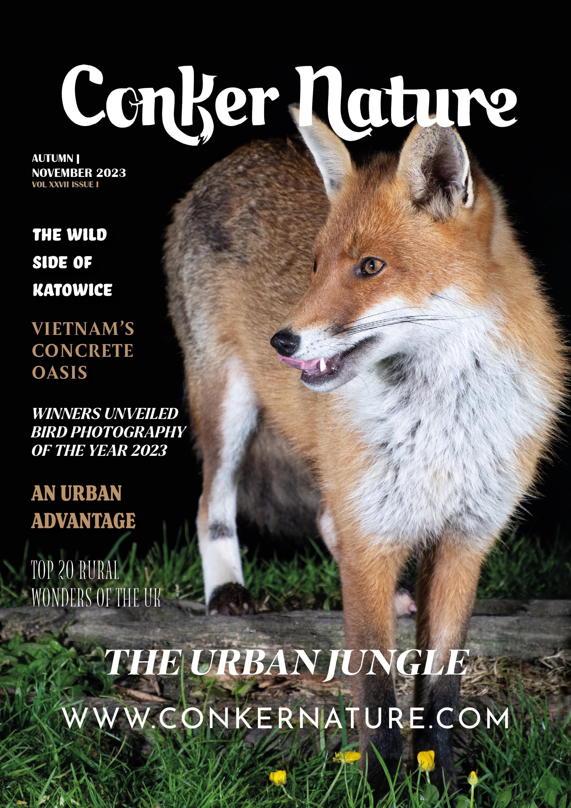 Jessica Humphreys image on the cover of Conker Nature magazine.