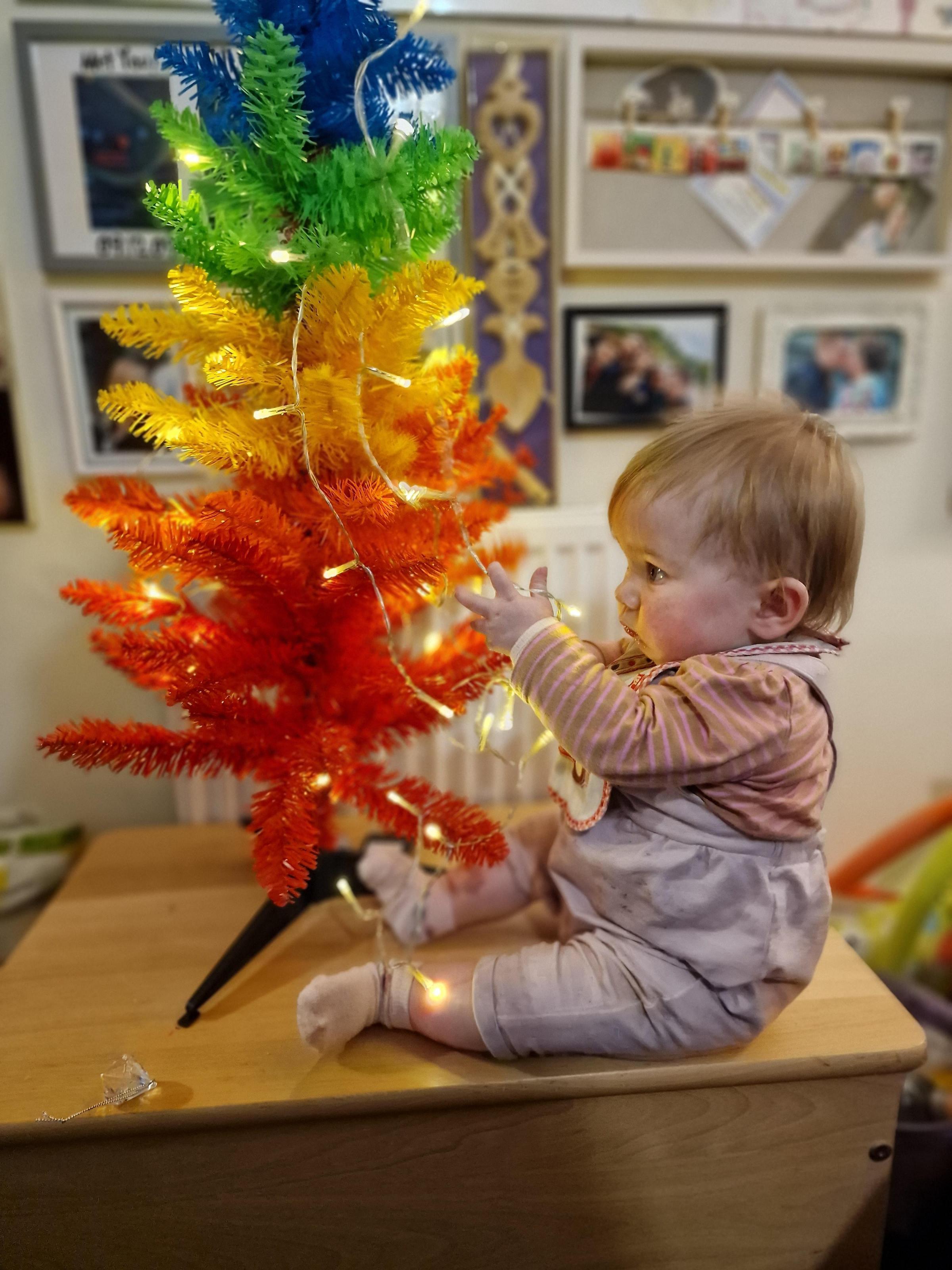 Nikki Wilson, from Wrexham: 10-month-old Teyla decorating her first Christmas tree.