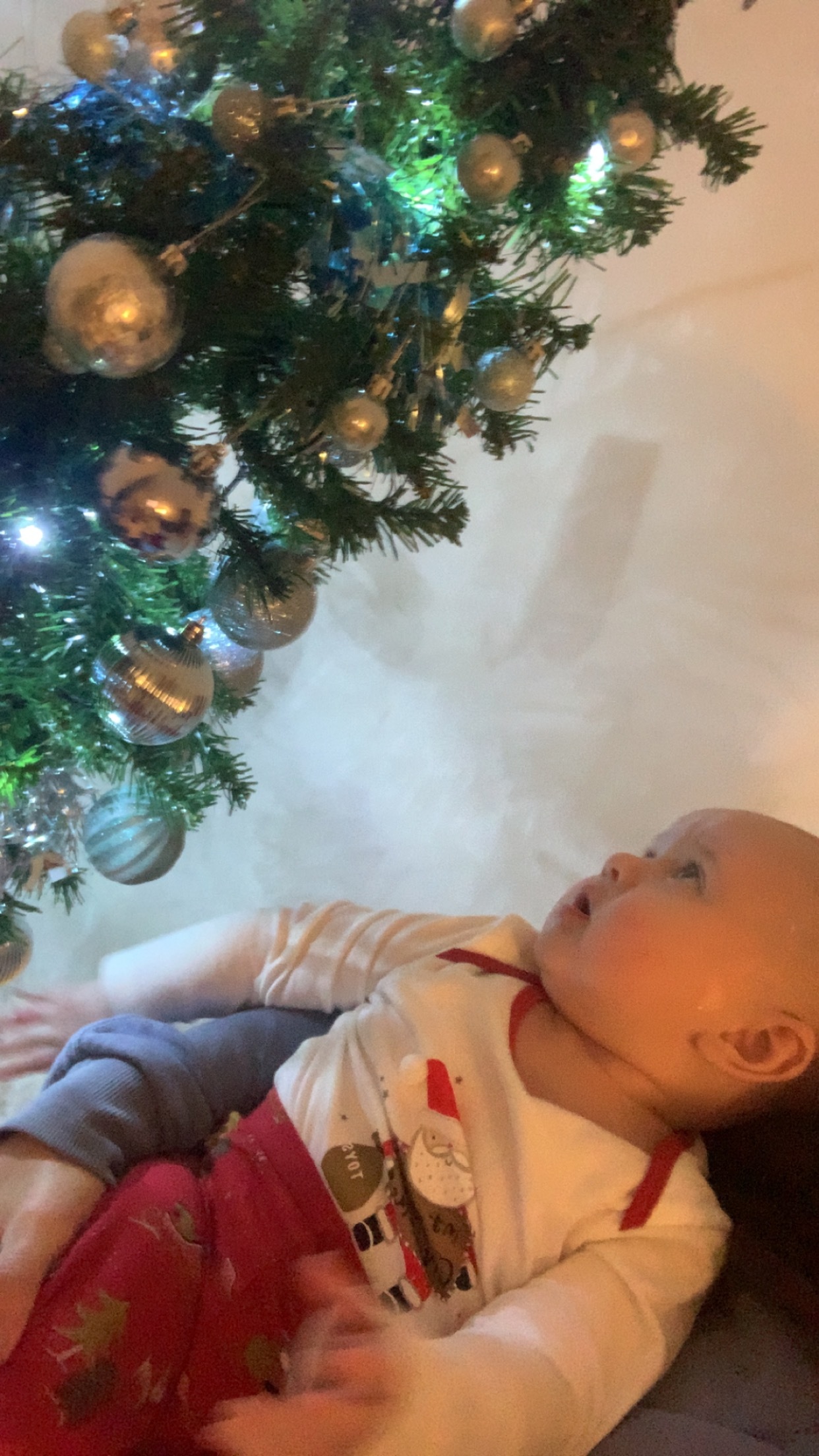 Naomi Jade Harper, from Wrexham: Five-month-old Arthur James loving the Christmas tree.