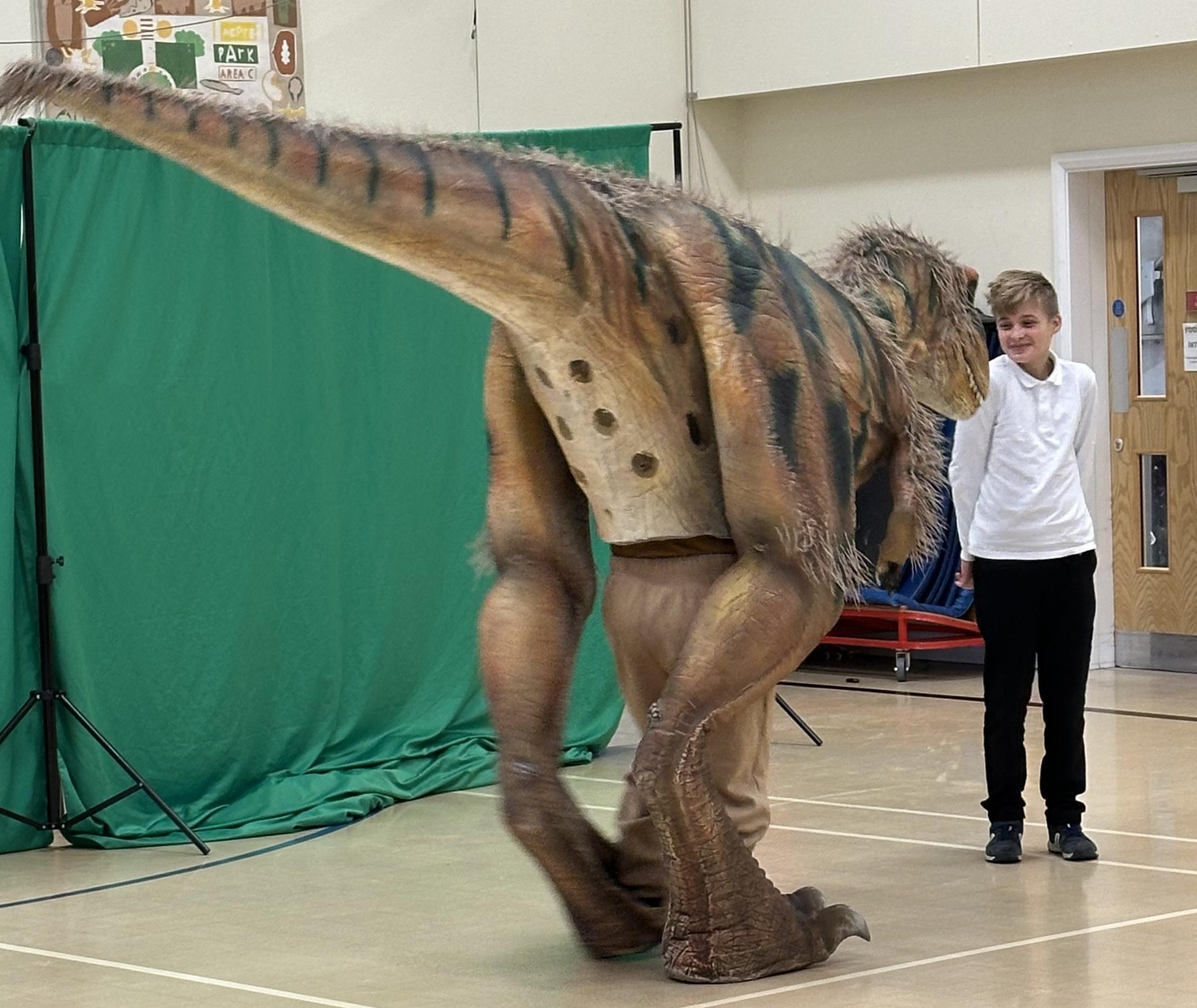 Teach Rex Roadshow dinosaurs at Ysgol Ty Ffynnon.