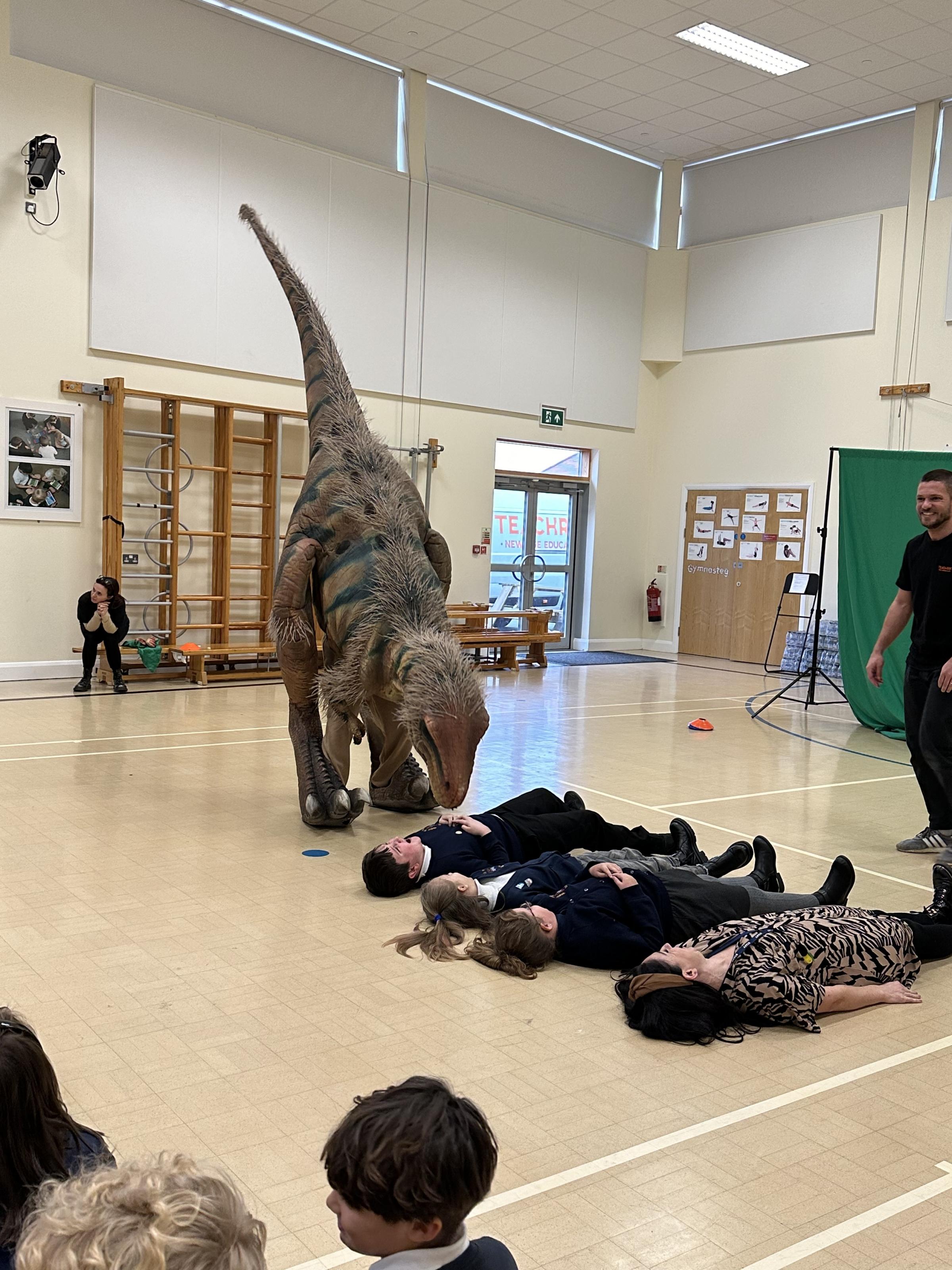 Teach Rex Roadshow dinosaurs at Ysgol Ty Ffynnon.