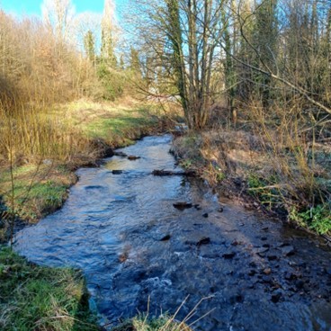 The River Gwenfro by Kings Mill where it joins the Clywedog.