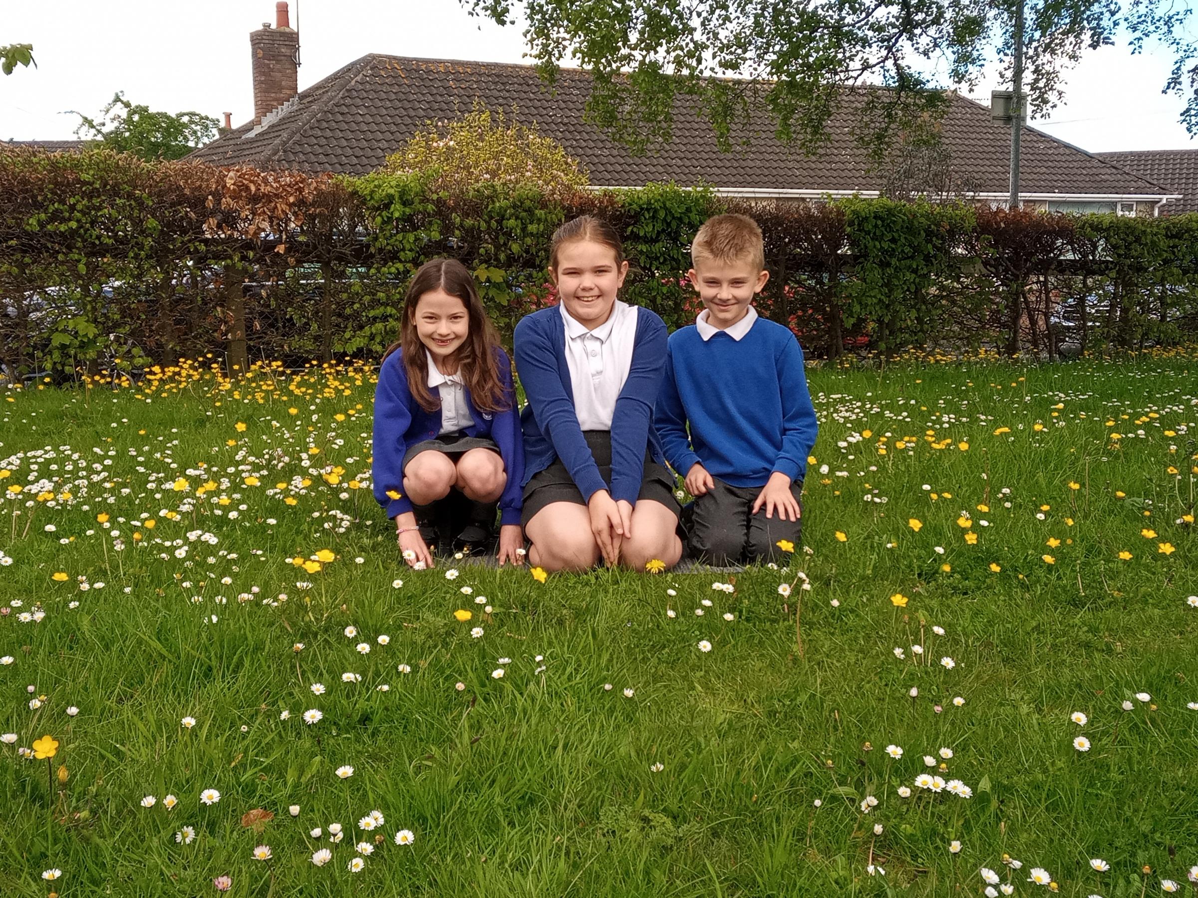 Drury Primary pupils Libby Wynne, Iris Williams and Leighton Holland among the daisies and dandelions during No Mow May.