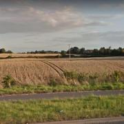 Picture shows lands where 600 new homes could be built in Wrexham