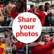 Wales fans celebrate. Images: PA News