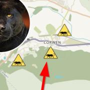 Big cat encounter in Corwen. Map: Puma Watch North Wales
