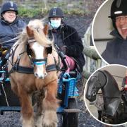 Matthew with his coach Ann Connolly and Mack the horse honing his carriage riding skills