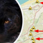 Big cat encounters in the Prestatyn area. Map: Puma Watch North Wales.