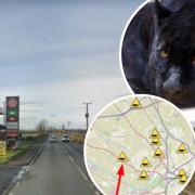 Image: Google StreetView/Canva/Puma Watch North Wales