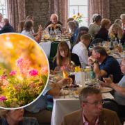 Flintshire and Wrexham put on award winning flower displays at Wales in Bloom 2022. Credit: Ann Seymour Photography