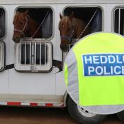 Victim of attempted horsebox theft in Coedpoeth express anger and concern. (Stock image of horse trailer)