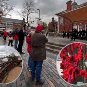 Flintshire: Mold pays respect to soldiers past and present in Armistice Ceremony