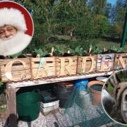 Community garden project to host Christmas open day with donkeys and Santa Claus