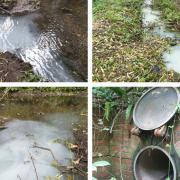 Misconnected waste pipe causing pollution in River Gwenfro, Wrexham