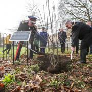 Left to right: Planting the tree – the Lord Lieutenant of Clwyd, Harry Fetherstonhaugh OBE, and the Mayor of Wrexham Councillor Brian Cameron.
