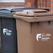 'Restricted' bin collections needed in Flintshire to avoid fines
