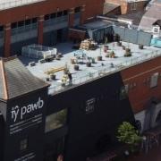 Ty Pawb launching rooftop garden to coincide with Spring Equinox