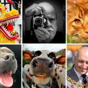 Members of the Leader Camera Club take on 'faces' theme challenge.