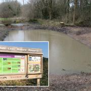 Funded projects have included pond restoration in Buckley and information board at White Lion Nature Reserve, Penymynydd.