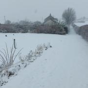 Yesterday's snowfall in the Halykn area.