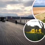 Beaumaris Pier and (inset) Talacre beach and daffodils.