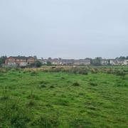 Image shows land where new homes could be built in New Brighton