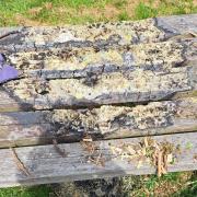 Damage done to benches at Rhosddu Primary School, Wrexham.