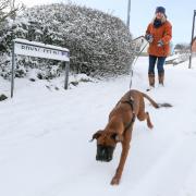 Schools close as heavy snow hits north and mid Wales, border counties - latest and pictures