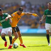 Brighton & Hove Albion's Beram Kayal (left) and Wolverhampton Wanderers' Raul Jimenez battle for the ball during the Premier League match at Molineux, Wolverhampton. PRESS ASSOCIATION Photo. Picture date: Saturday April 20, 2019. See PA story