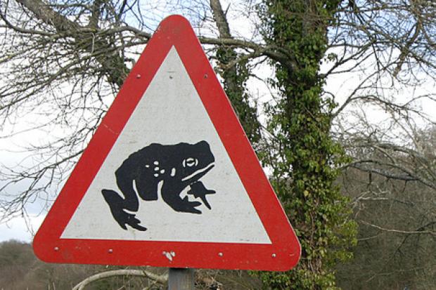 Toad sign